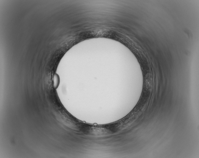 X0000111370605200908071215