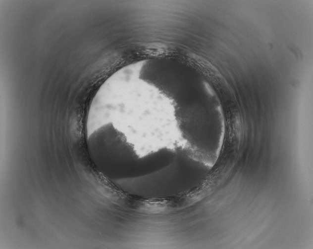 X0000111370606200908071215