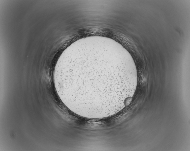 X0000111370607200908071215