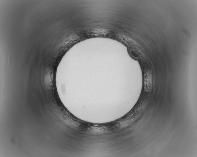 X0000111370608200908071215