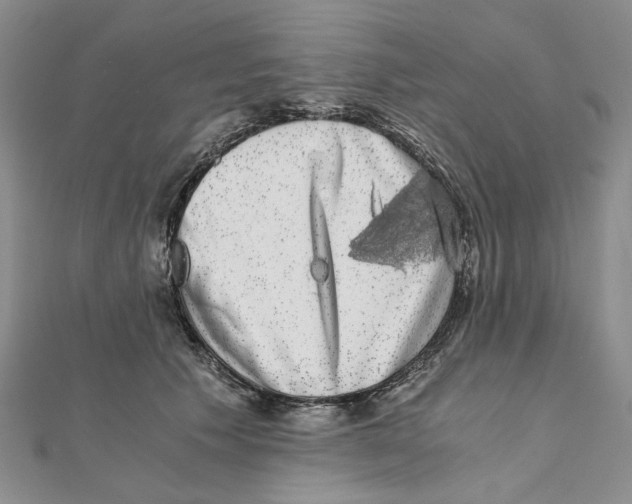 X0000111370609200908071215