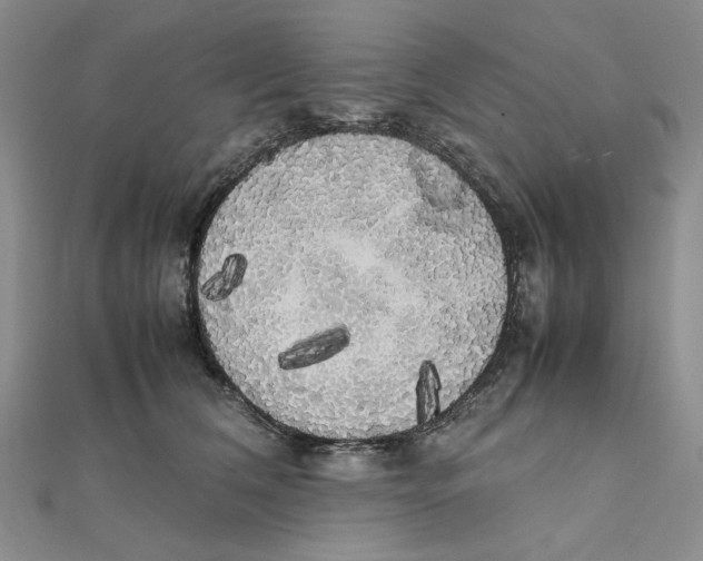 X0000111370612200908071215