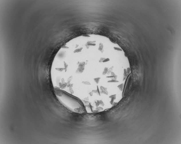 X0000111370613200908071215