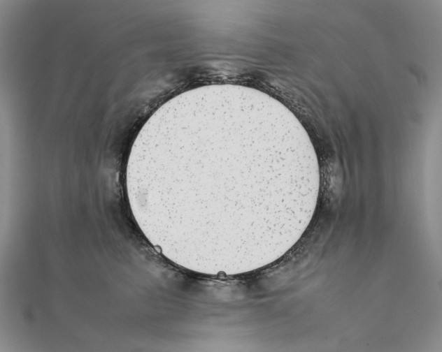 X0000111370615200908071215