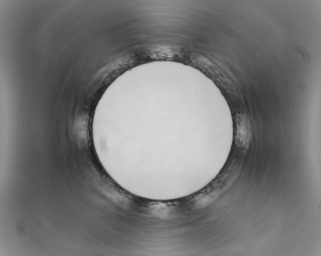 X0000111370616200908071215