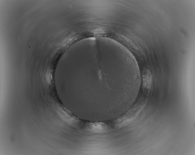 X0000111370618200908071215