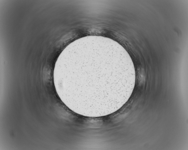 X0000111370619200908071215