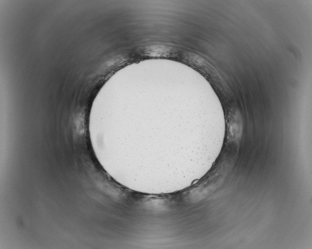 X0000111370620200908071215