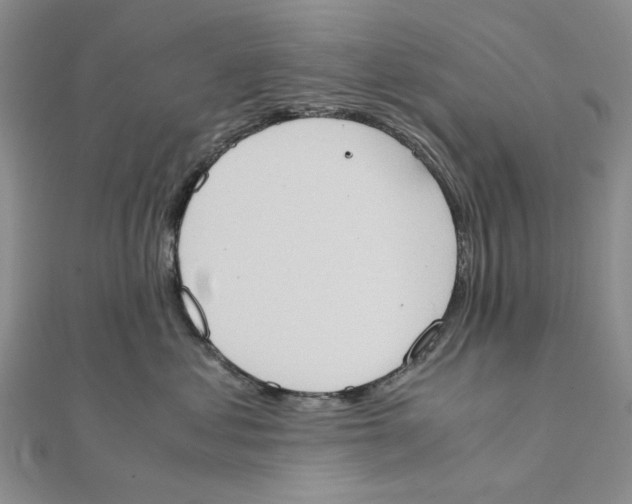 X0000111370621200908071215
