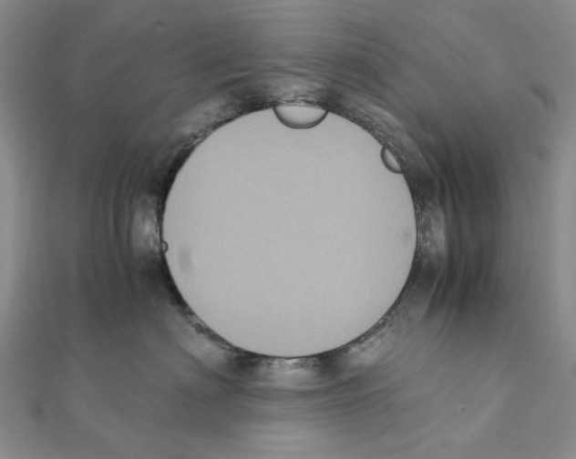 X0000111370622200908071215