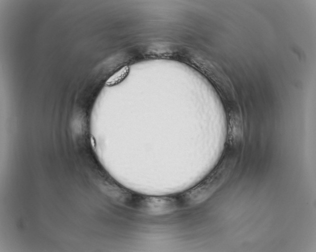 X0000111370623200908071215