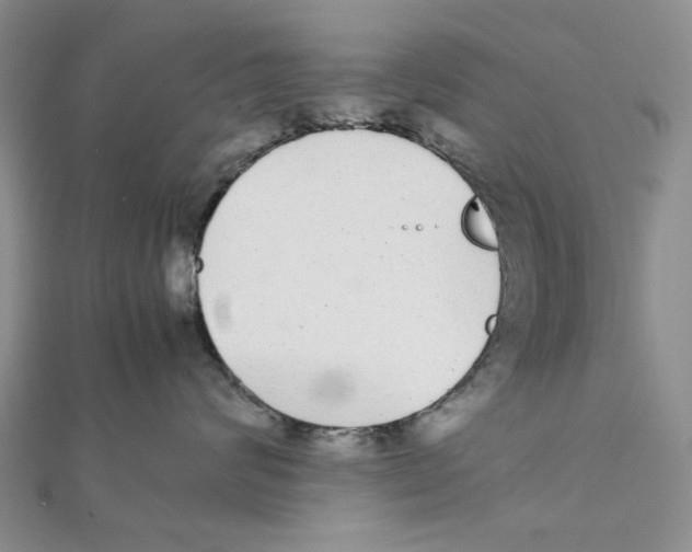 X0000111370624200908071215