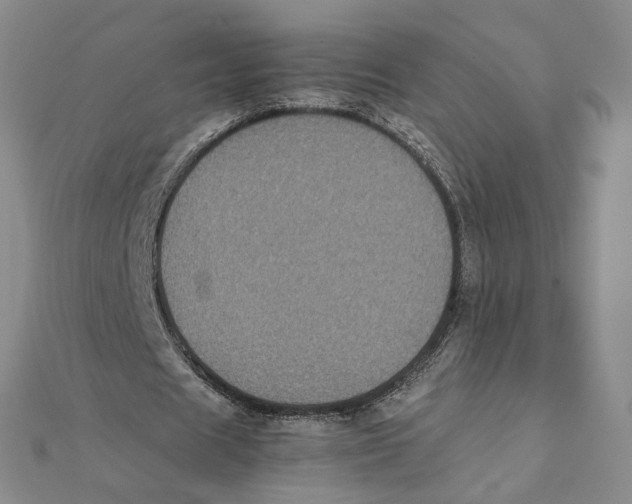 X0000111370625200908071215