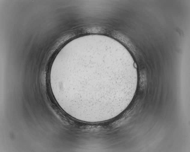 X0000111370626200908071215