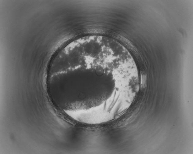 X0000111370627200908071215