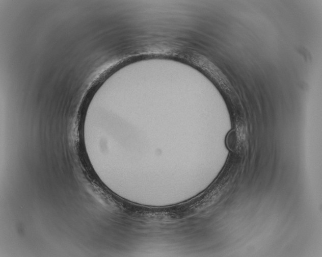 X0000111370628200908071215
