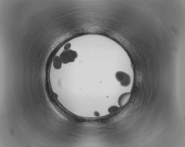 X0000111370630200908071215