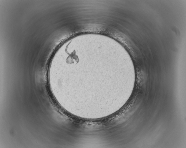 X0000111370632200908071215