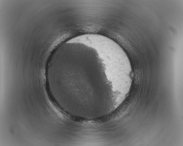 X0000111370634200908071215