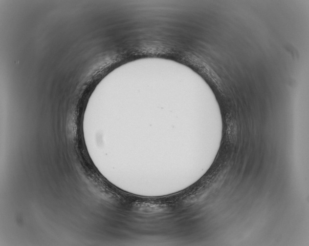 X0000111370635200908071215