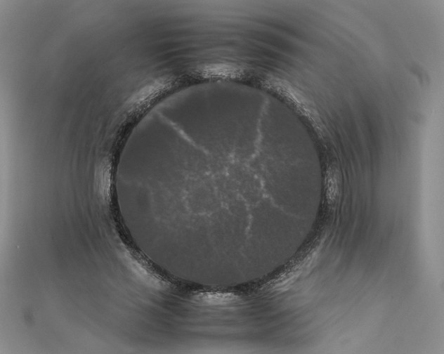 X0000111370637200908071215