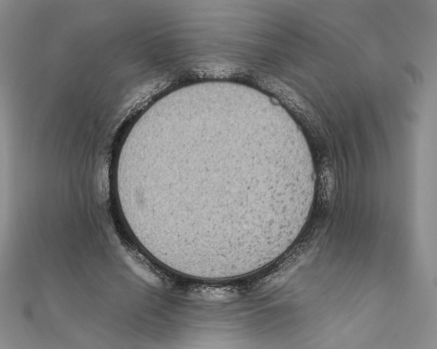 X0000111370638200908071215