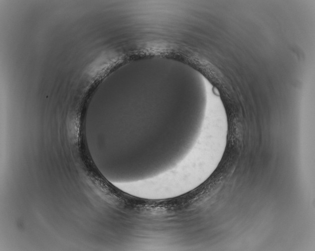 X0000111370640200908071215