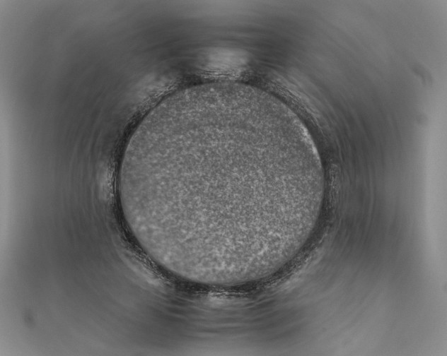 X0000111370641200908071215