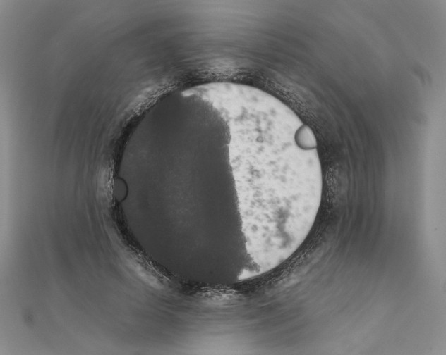 X0000111370642200908071215