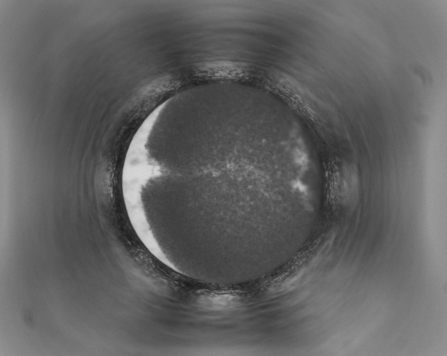X0000111370643200908071215