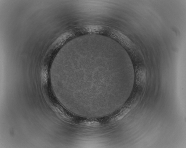 X0000111370644200908071215