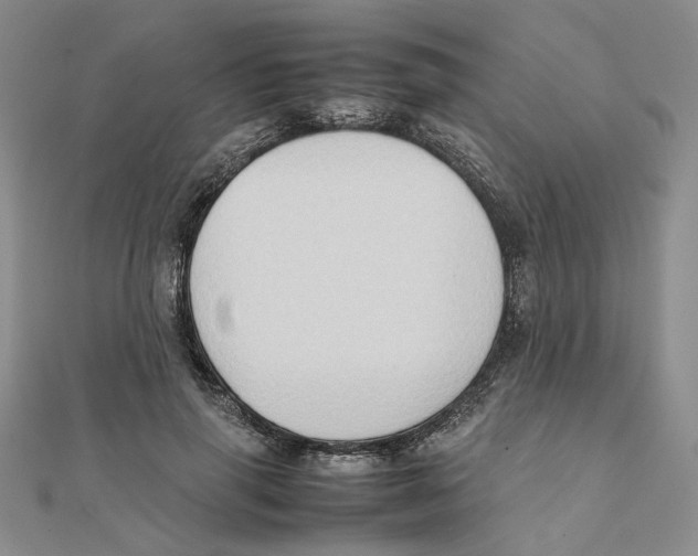 X0000111370645200908071215