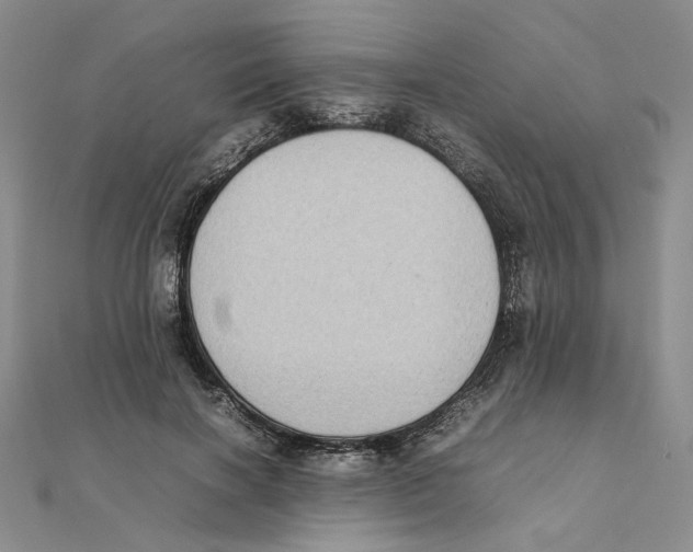 X0000111370646200908071215