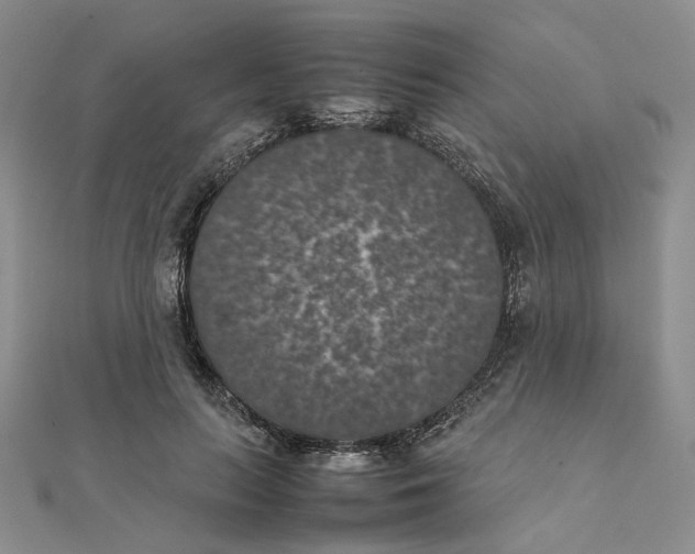 X0000111370647200908071215