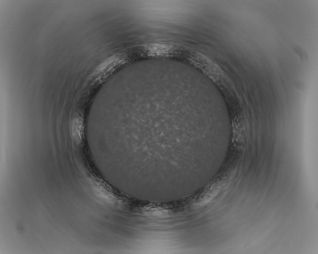 X0000111370648200908071215
