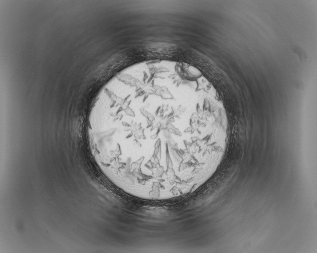 X0000111370649200908071215
