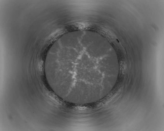X0000111370650200908071215