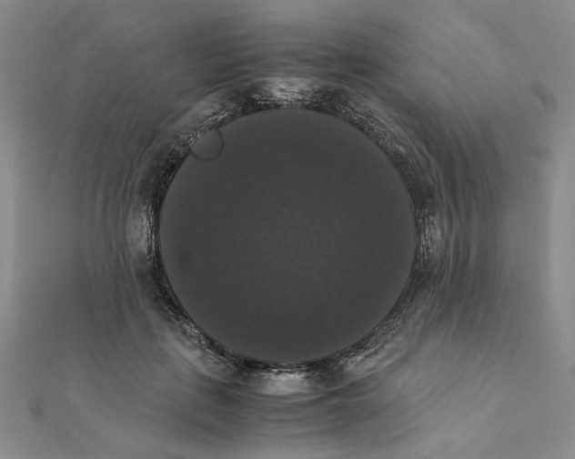 X0000111370651200908071215