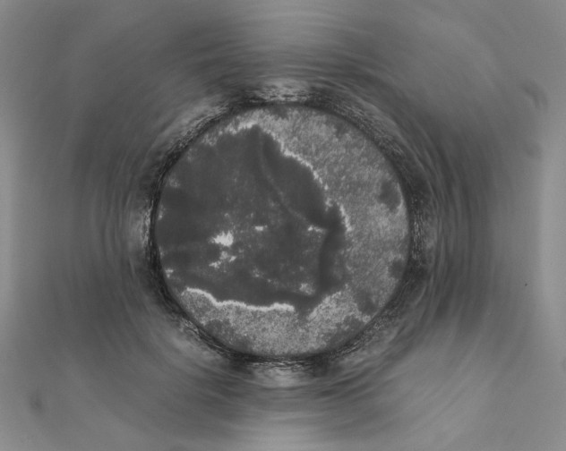 X0000111370652200908071215