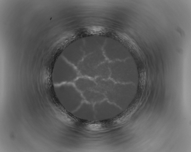 X0000111370653200908071215