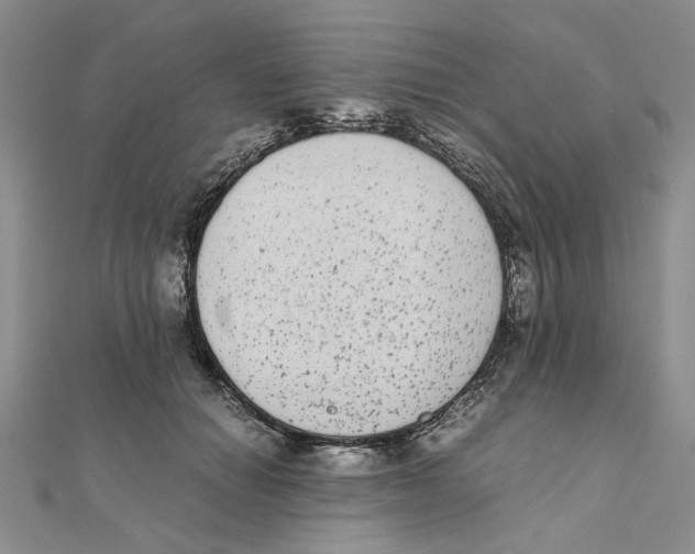 X0000111370654200908071215