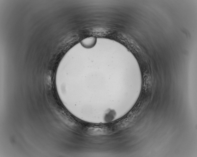 X0000111370655200908071215