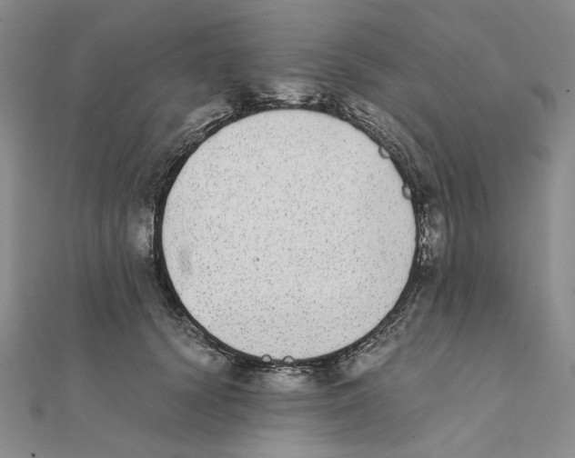 X0000111370656200908071215