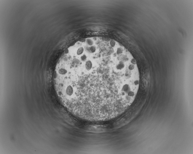 X0000111370657200908071215