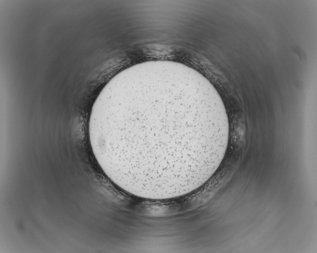 X0000111370658200908071215