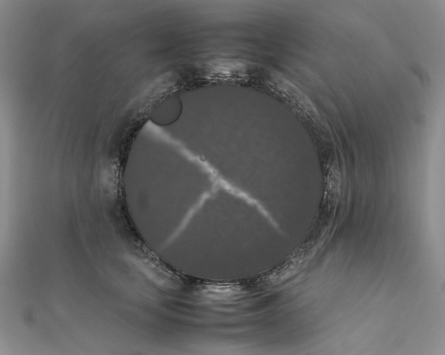 X0000111370659200908071215