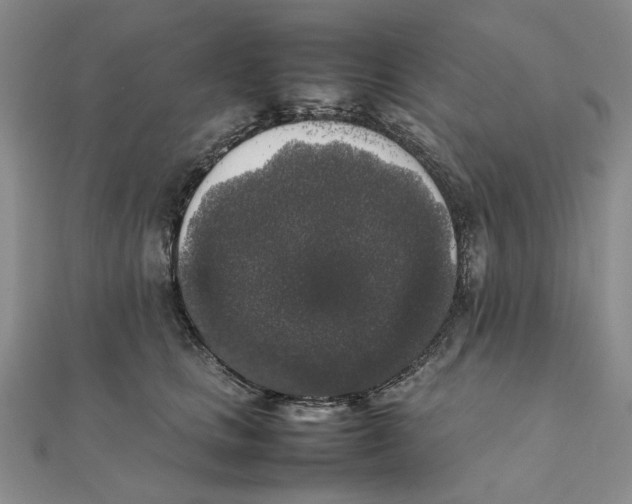 X0000111370661200908071215