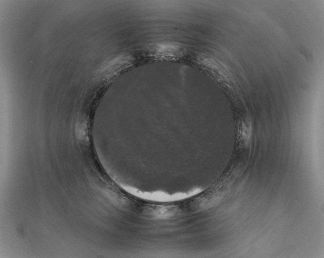 X0000111370663200908071215