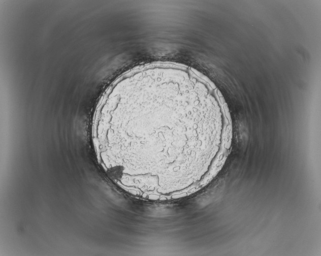 X0000111370664200908071215