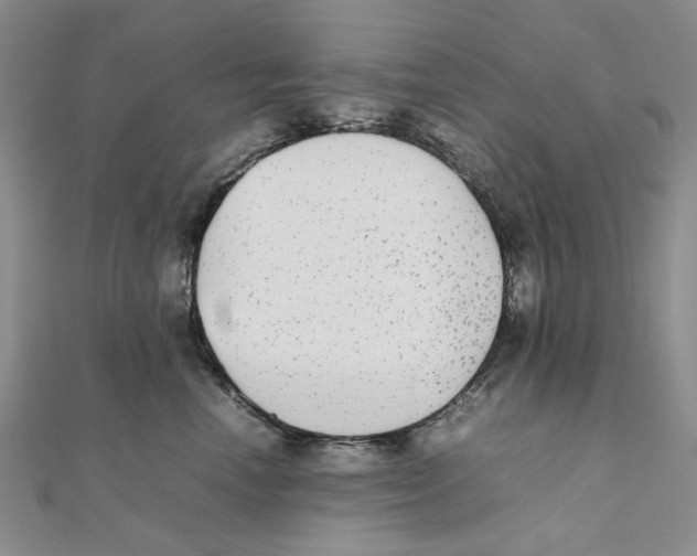 X0000111370666200908071215
